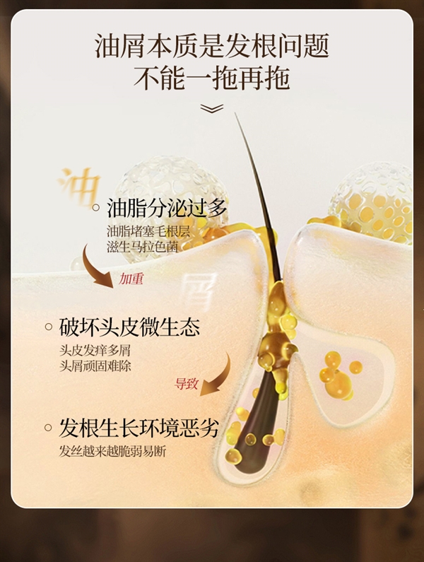 高纯度姜根萃取 霸王生姜洗发水2.0款500ml 19.9元