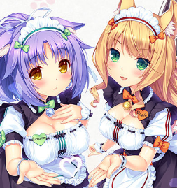 猫娘乐园