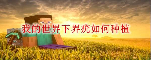 我的世界下界疣如何种植