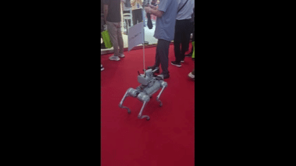 机器狗在人群中自动跟随前方穿黑衣短袖的工作人员