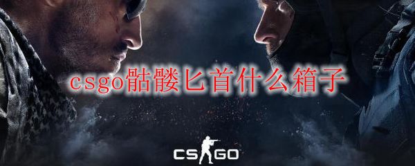 CS:GO骷髅匕首获取方式