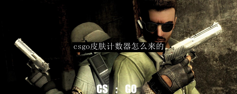 CS:GO皮肤计数器示例