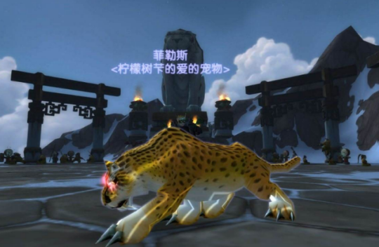 野外练宠地点