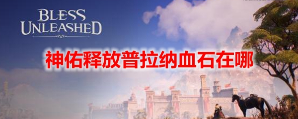 神佑释放普拉纳血石获取位置