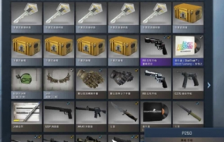 CSGO游戏内皮肤展示