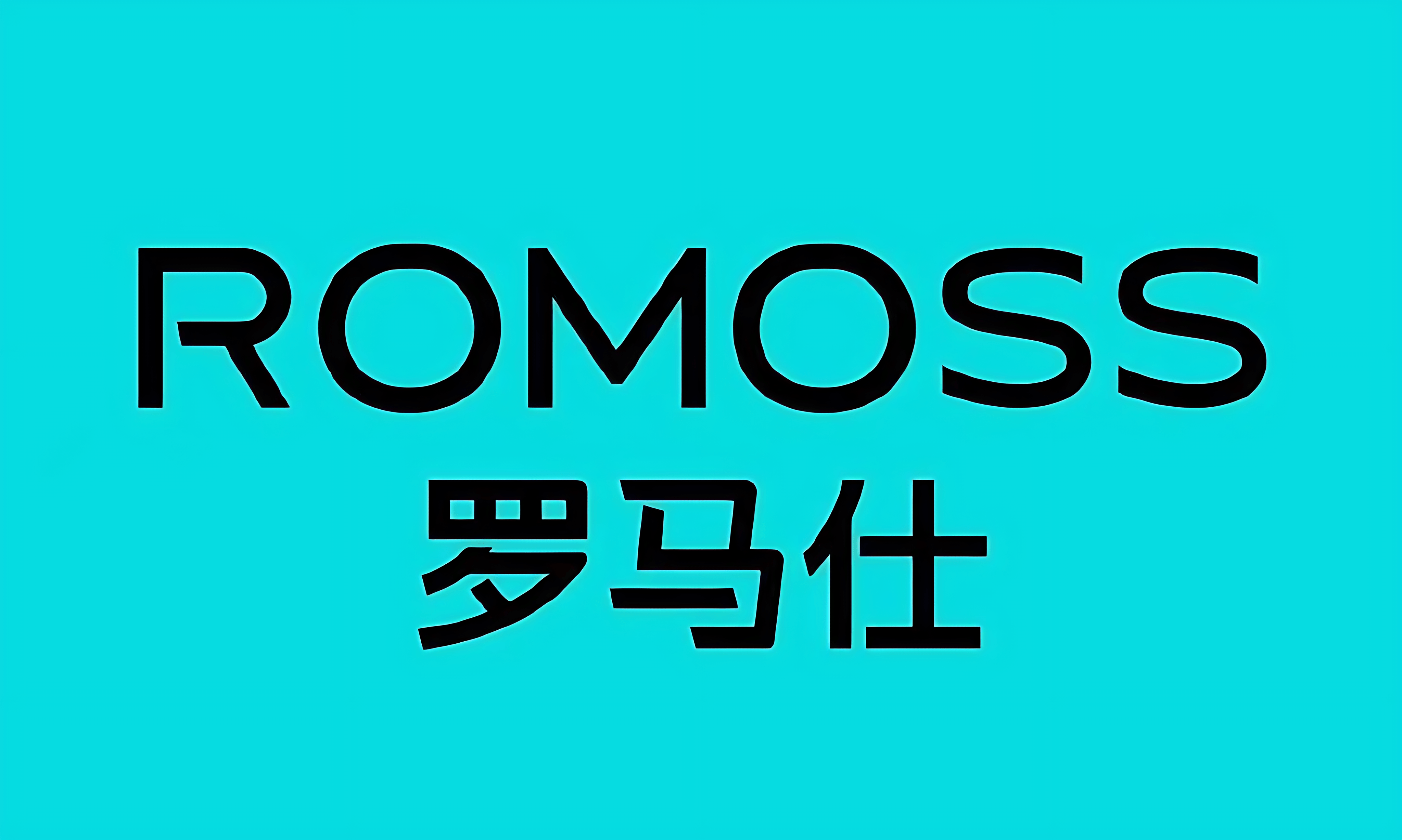 罗马仕库存产品