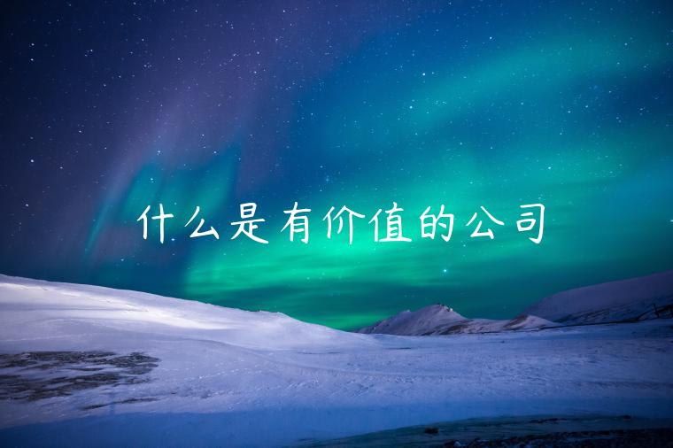 什么是有价值的公司-第1张图片-本站
