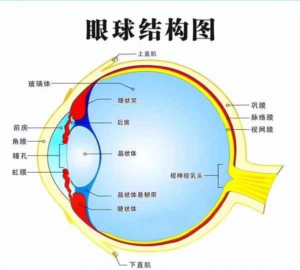 轮子这么好用的东西
