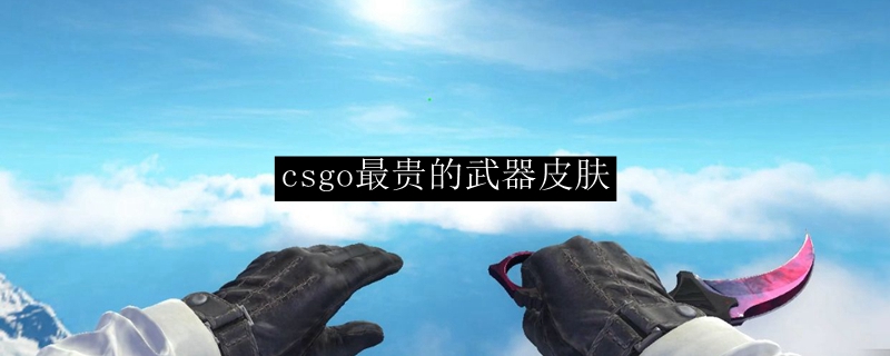 csgo最贵皮肤龙狙
