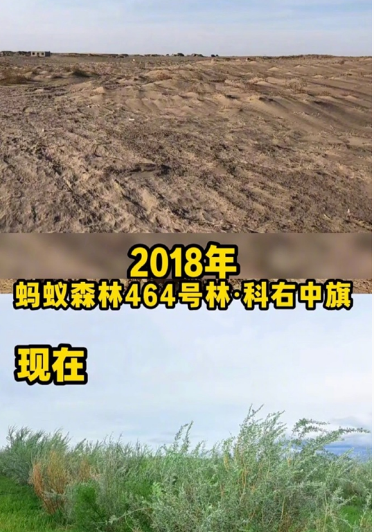蚂蚁森林项目示意图