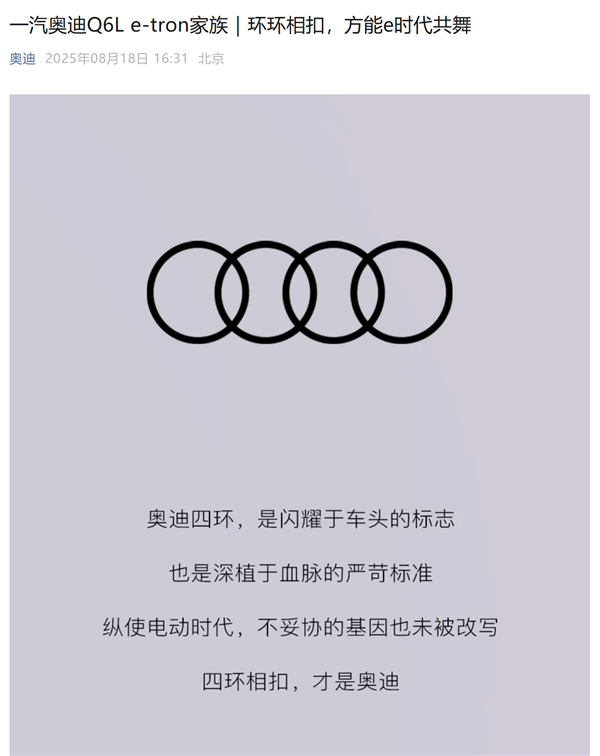 上汽奥迪E5