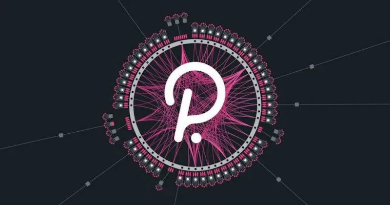 什么是Polkadot（DOT币）？DOT未来发展前景与价格预测 - 菜鸟下载