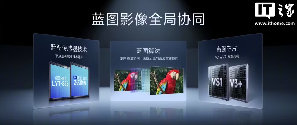 vivo