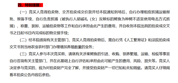 活鳄鱼上架阿里拍卖