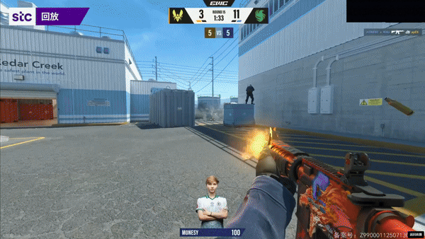 CS电竞世界杯（EWC）季军赛：Falcons 2-1 Vitality，小蜜蜂百万美金梦碎！