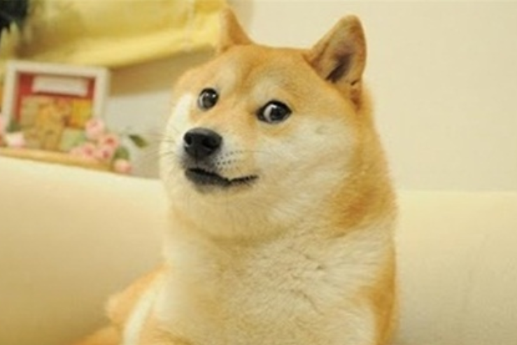 9月狗狗币DOGE价格会飙升30%吗？ - 菜鸟下载