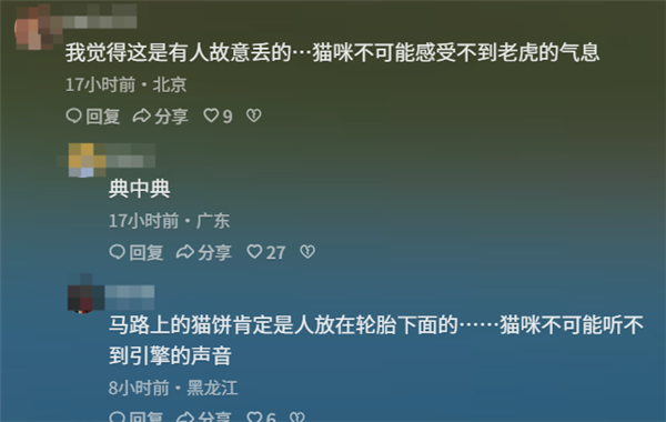 “青海一动物园狸花猫误入虎园被咬死