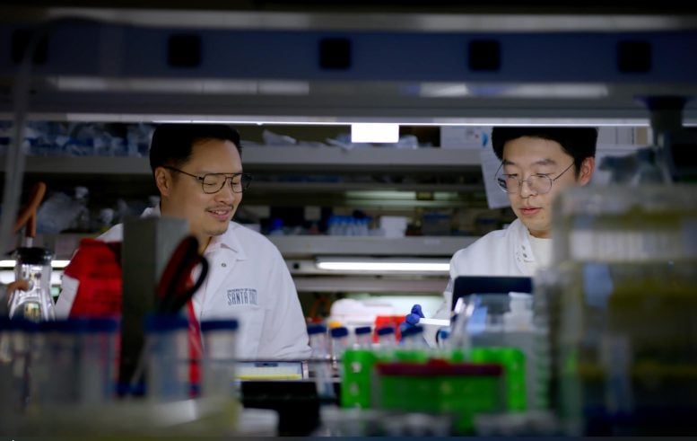 新型生物传感器问世：使用手机即可检测皮质醇水平，比医院检测还准