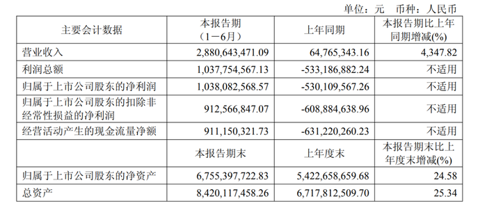 寒武纪2025年上半年财务数据图示