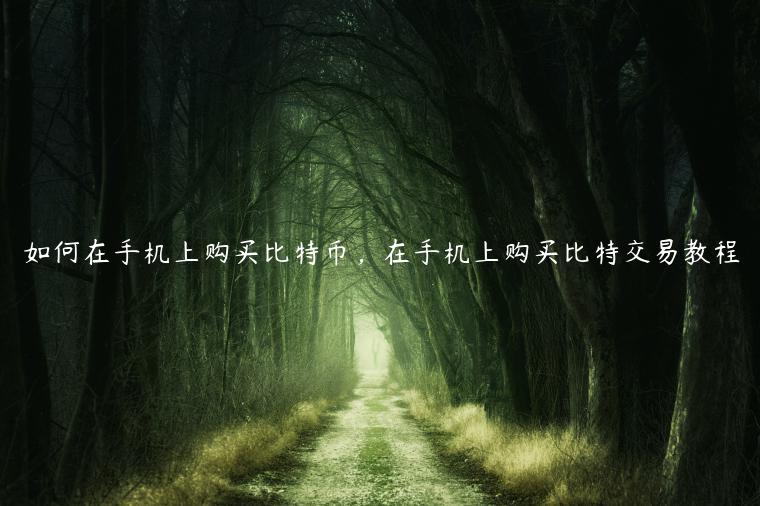 如何在手机上购买比特币，在手机上购买比特交易教程-第1张图片-本站