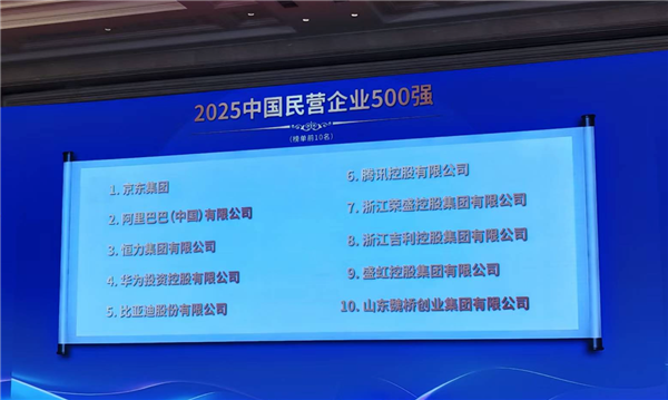 2025中国民营企业500强公布：京东阿里前二