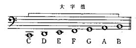 大字组