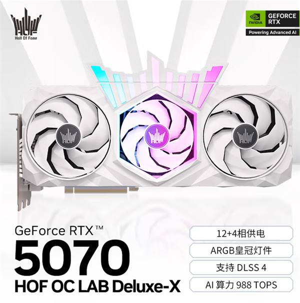 影驰名人堂RTX