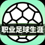 职业足球生涯