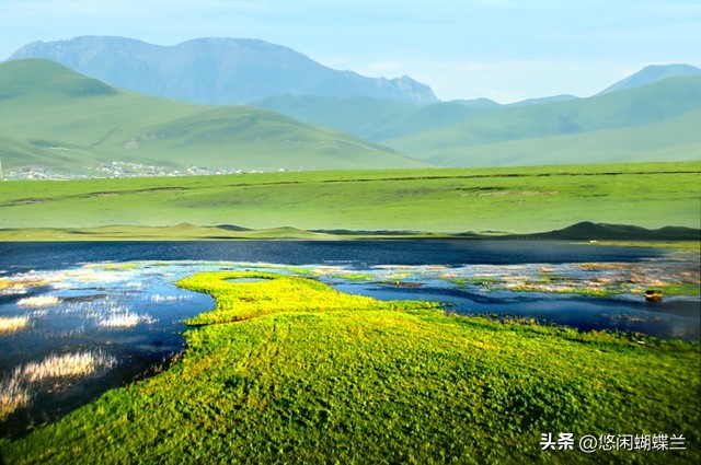 文章示例图