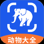有机菜市场