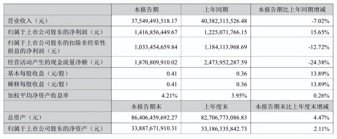 2025年半年度报告