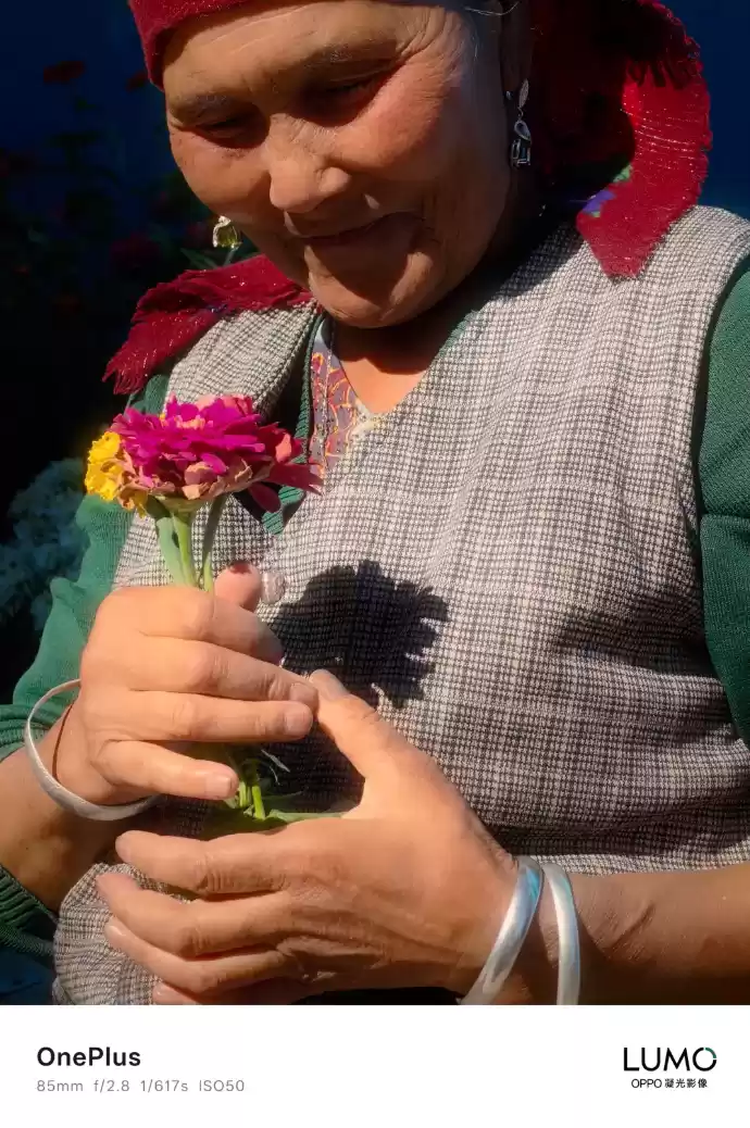 哈苏时代结束，一加国内公布 LUMO 凝光影像系统样张