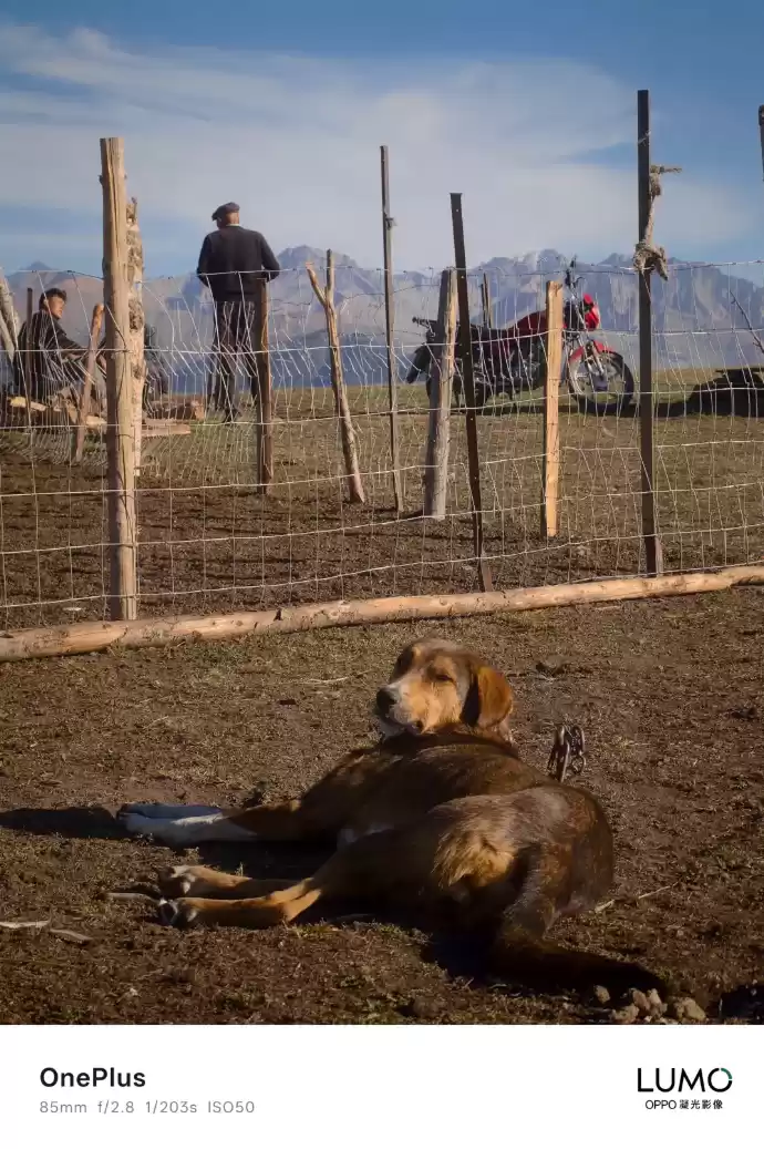 哈苏时代结束，一加国内公布 LUMO 凝光影像系统样张