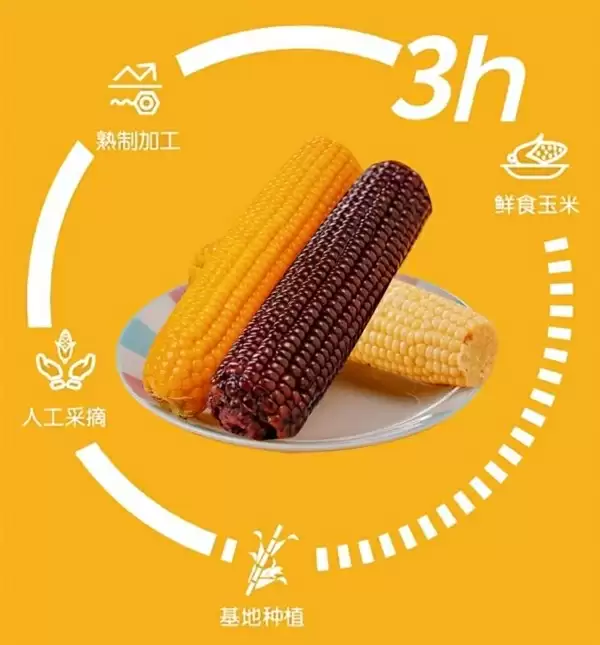 鲜香甜糯 刘老杆东北甜糯玉米16.9元8穗大促