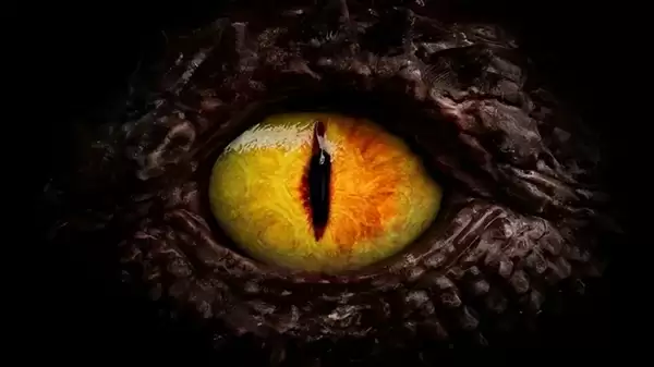 荷兰女子患罕见疾病 看到的人脸会扭曲为龙脸