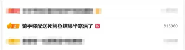 骑手称配送死鳄鱼:结果半路活了