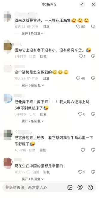 一只猫咪在大树上安逸睡觉 吹着小风很惬意 网友:这姿势咋“解锁”