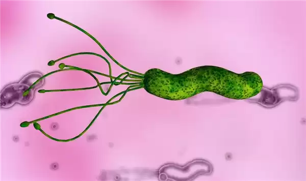 2个人中就有1人感染:医生让查幽门螺旋杆菌是真的想救你!
