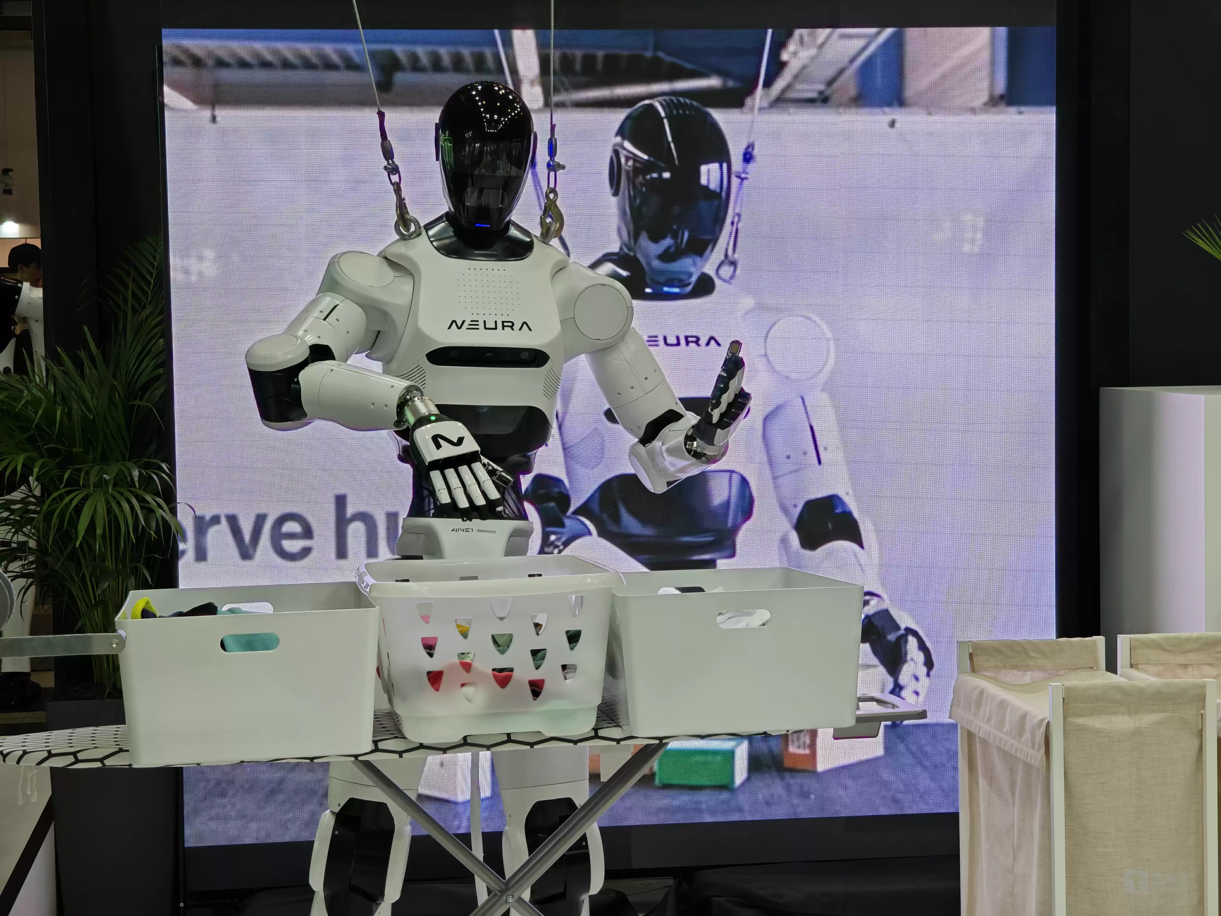 图片来源作者拍摄