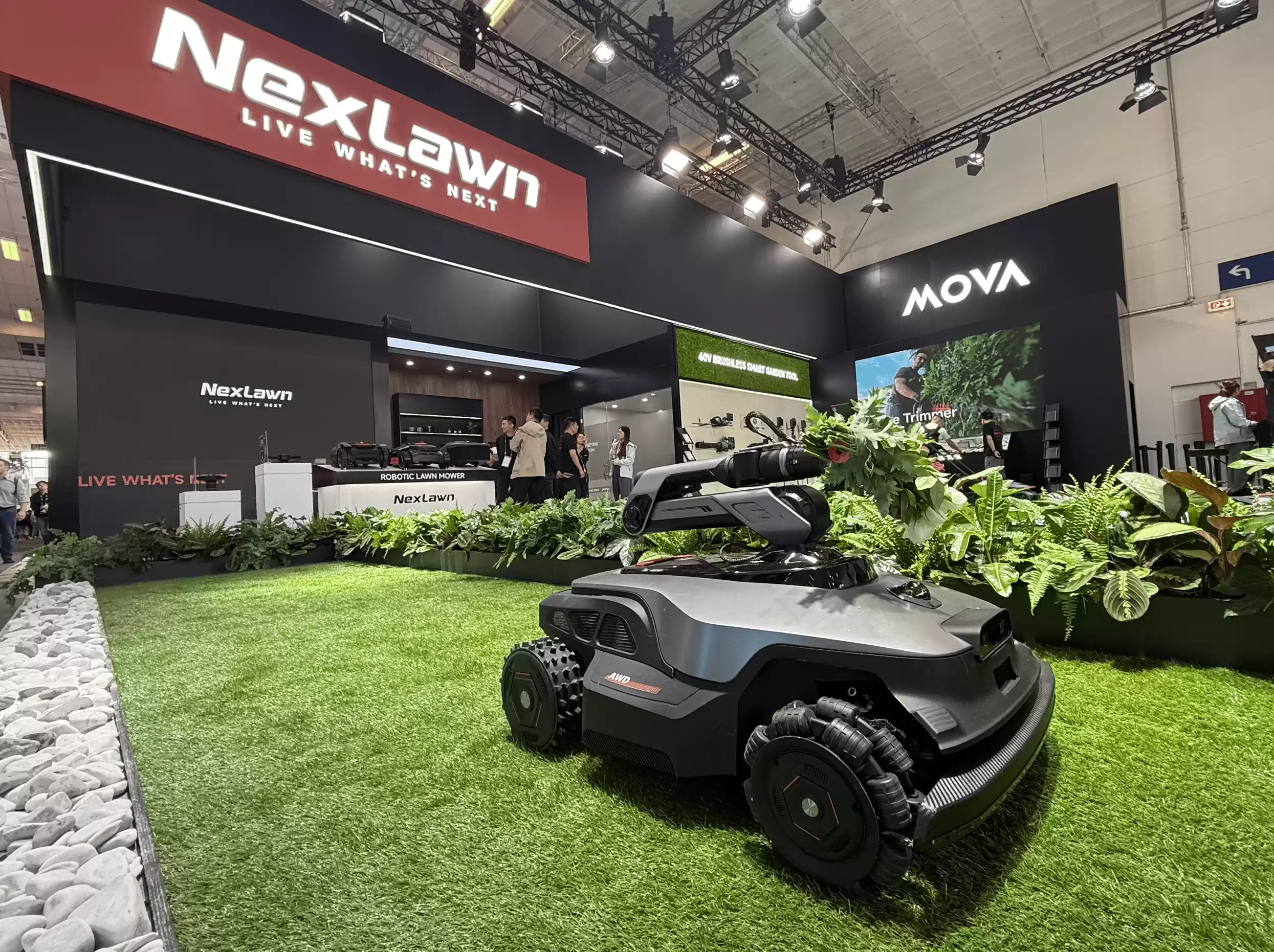 Wec h a tIMG5950.webp