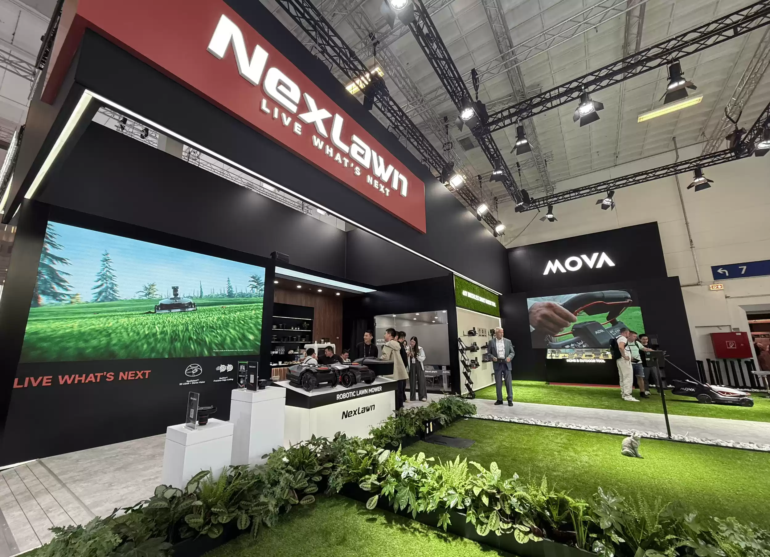 Wec h a tIMG5951.webp