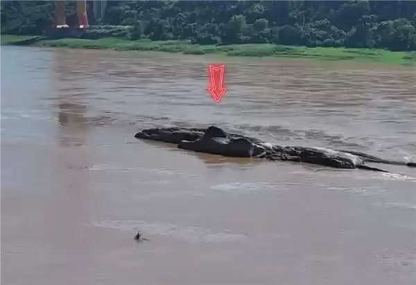 长江重庆段水位下降露出历史石佛 众多游客隔岸祈福