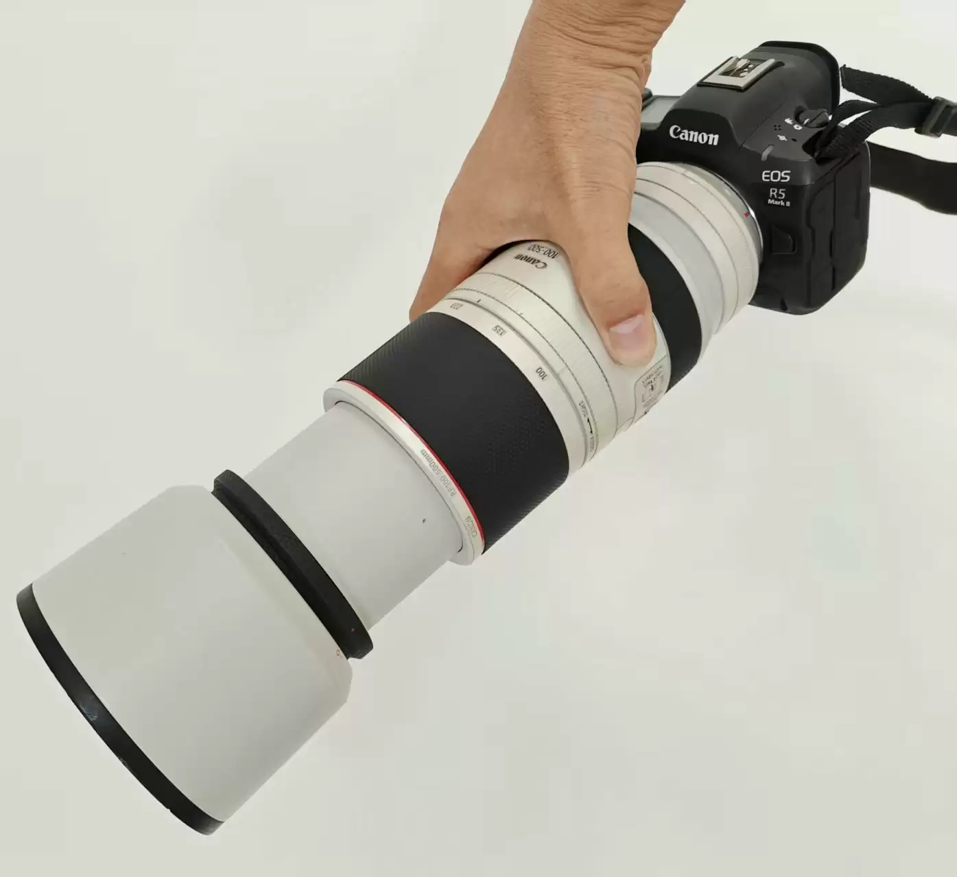 翎羽凝光 佳能EOS R5 Mark II生态摄影深度体验