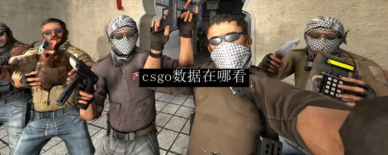 csgo数据在哪看