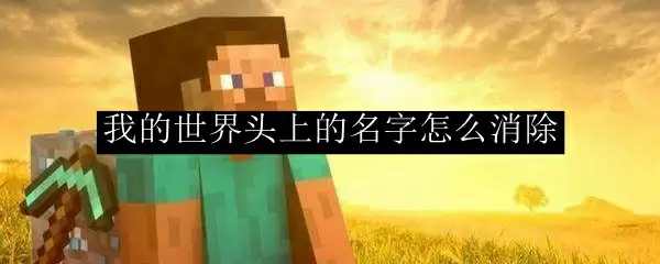 我的世界头上的名字怎么消除