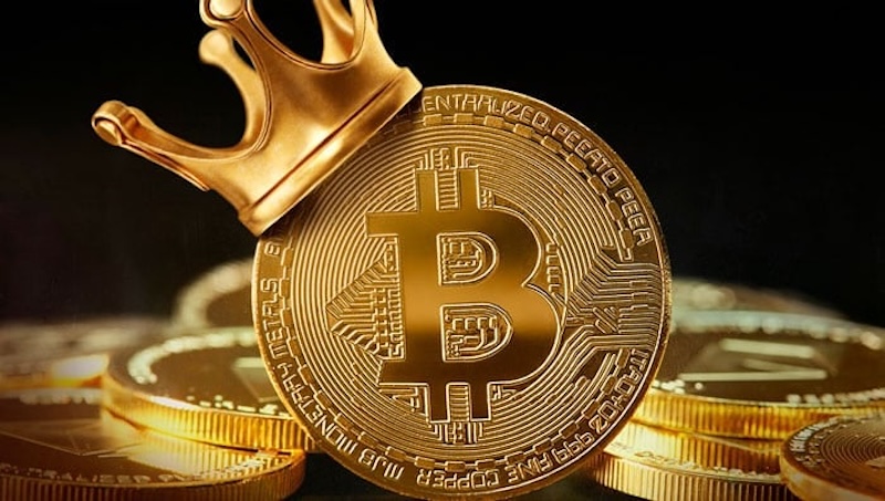 企业成为比特币新势力，2025年持有量大增21倍 - 菜鸟下载
