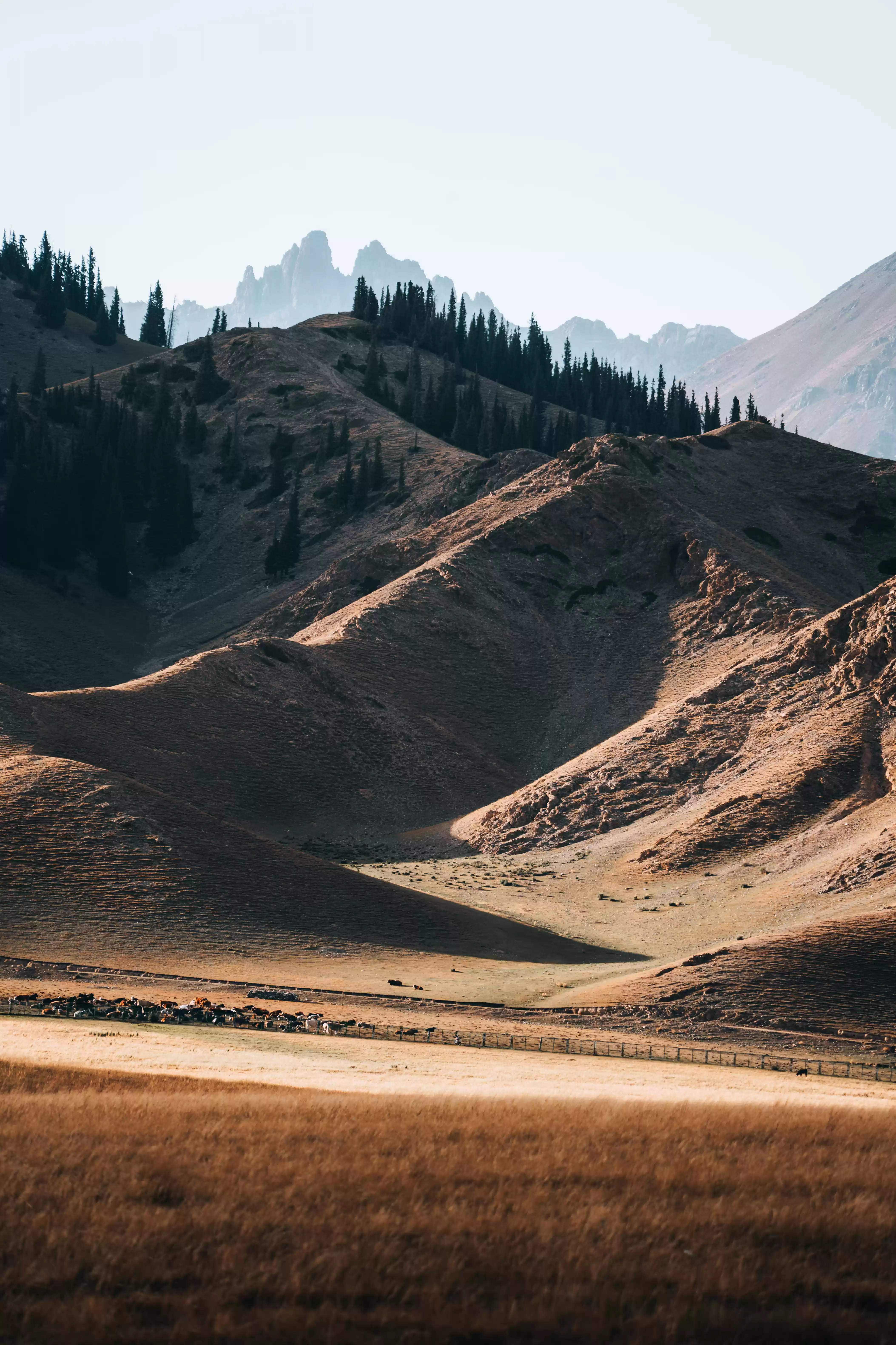 SIGMA发布 SIGMA发布