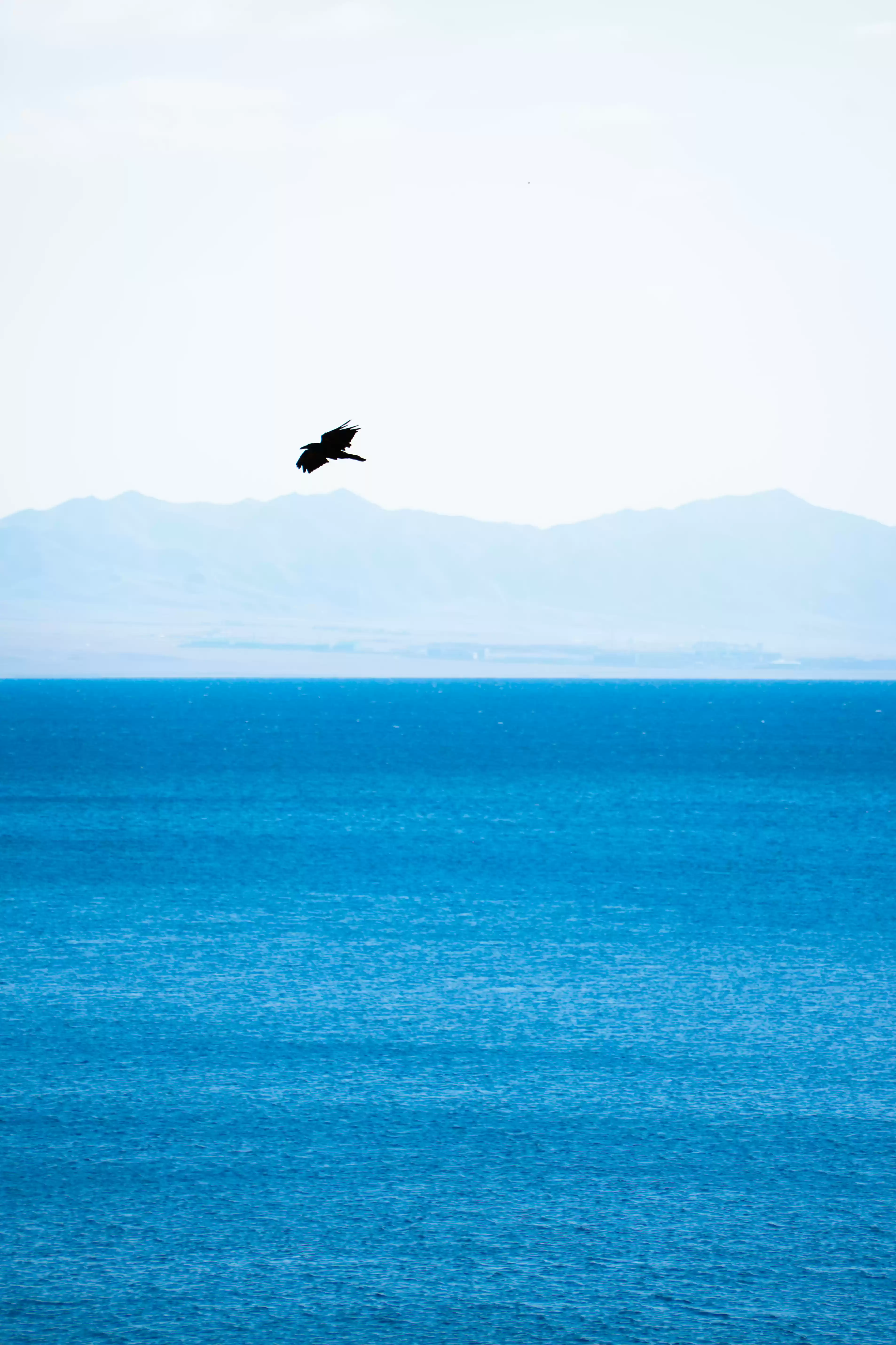 SIGMA发布 SIGMA发布