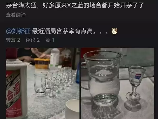 白酒惨烈