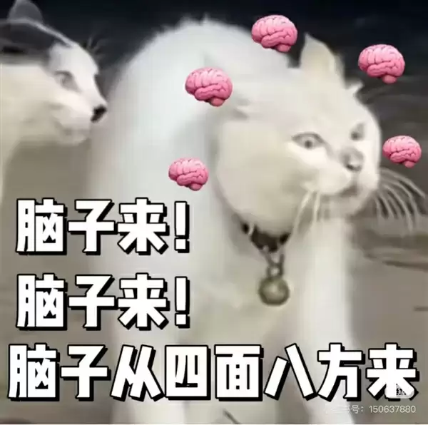 多吃鱼吧！“长脑子”最快的5个小妙招：有些0成本